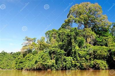 《斗仙界》0.1折手游新體驗 爽快世界，代理開發新機遇